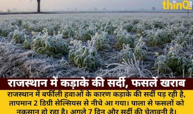 rajasthan barfili hawa para 2 degree se niche faslon par pala