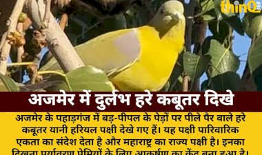 ajmer mein dikha maharashtra ka rajya pakshi harial paryavaran premiyon mein utsah