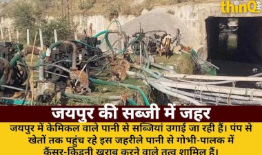 jaipur gobhi palak cancer kidney chemicals ground report