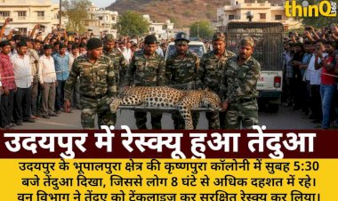 udaipur bhupalpura leopard rescue 8 hours panic