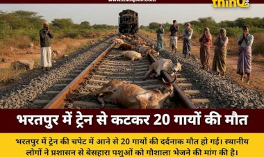 bharatpur rajasthan train accident 20 cows killed on railway track