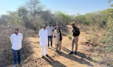 three forest staff apoed after visit with sanyam lodha to vadakheda sanctuary in sirohi