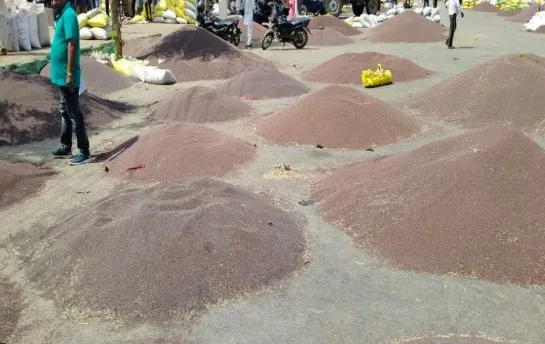 iran israel war impact mustard price hike bharatpur