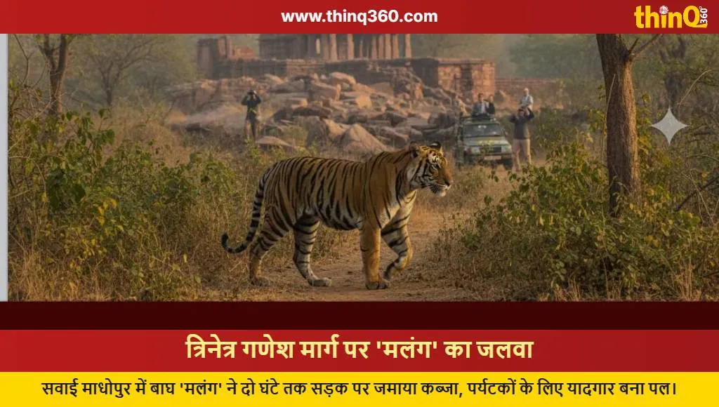 tiger malang blocks trinetra ganesh temple road ranthambore