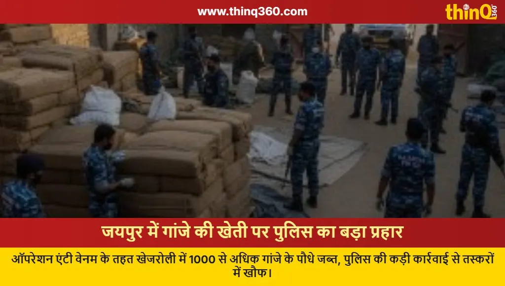 jaipur drug bust operation anti venom cannabis plants seized