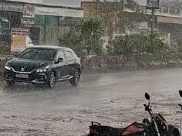 rajasthan weather update hailstorm rain alert april crop damage