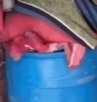 alwar blue drum theft 10 lakh jewelry stolen rajasthan crime