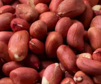 benefits of soaked raisins and peanuts on empty stomach ayurveda tips