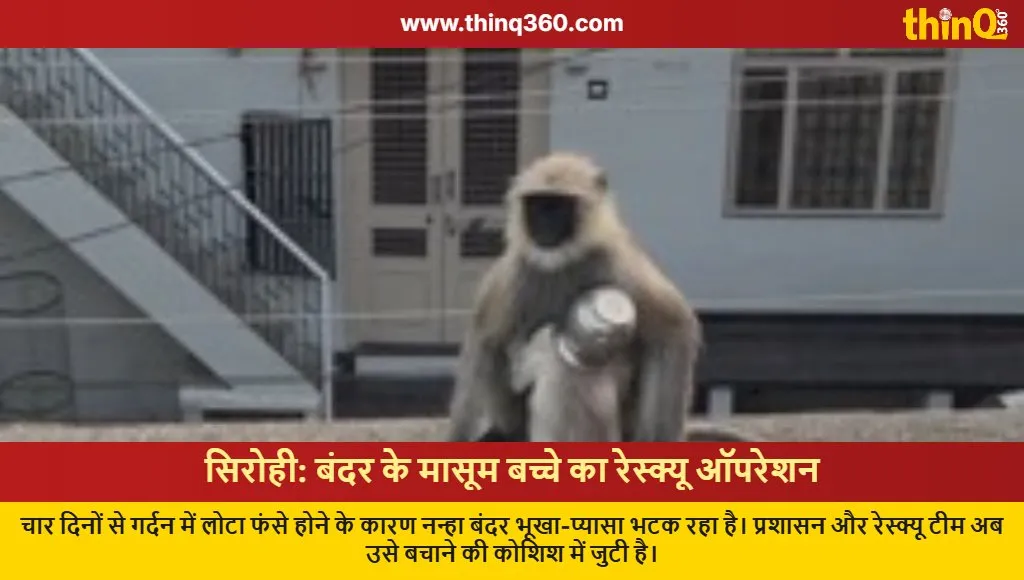 sirohi baby monkey rescue steel pot stuck