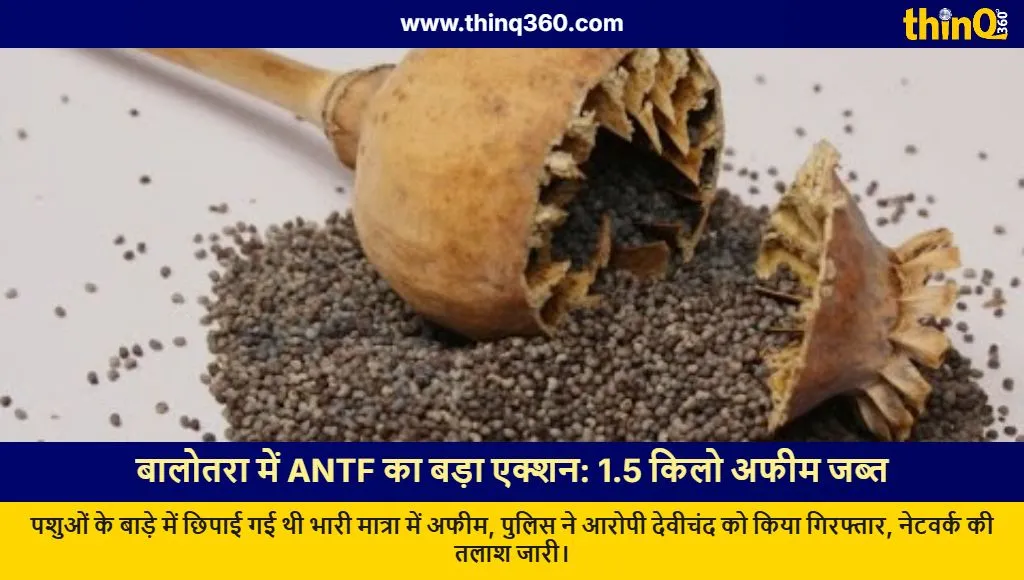 antf seizes opium balotra rajasthan arrest