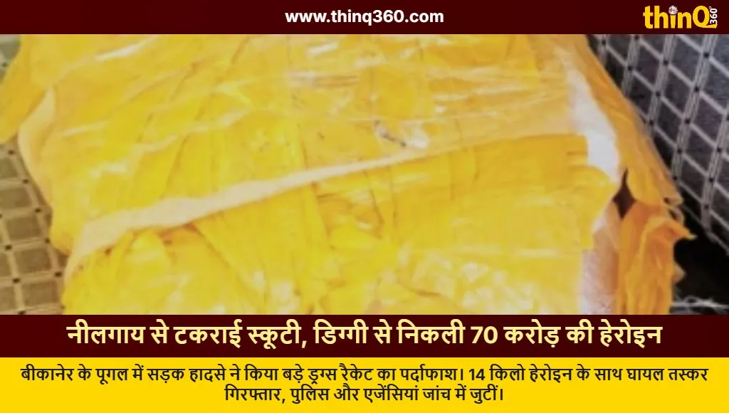 bikaner heroin seizure nilgai accident smuggling exposed rajasthan