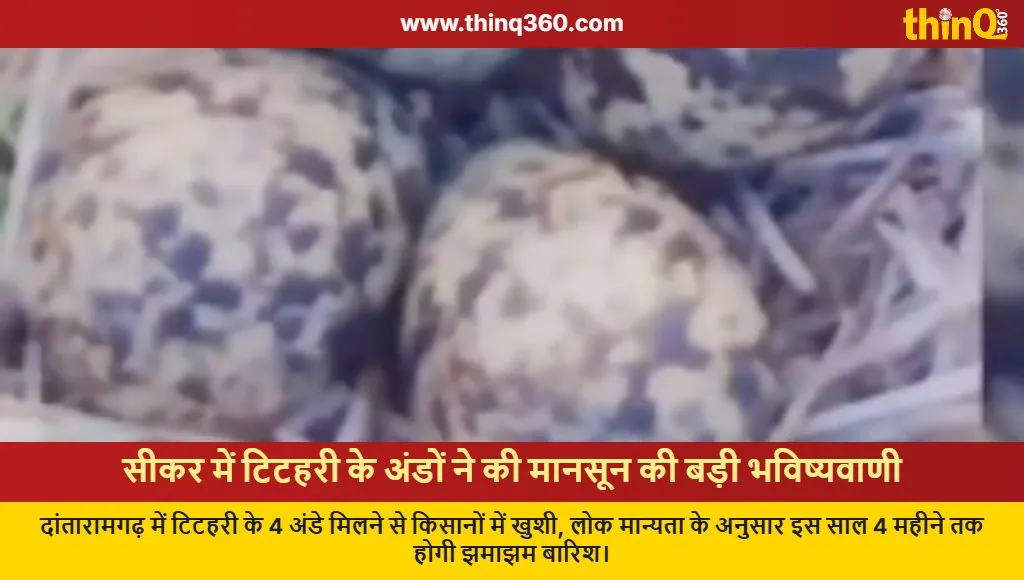 sikar titahri bird eggs monsoon prediction rajasthan