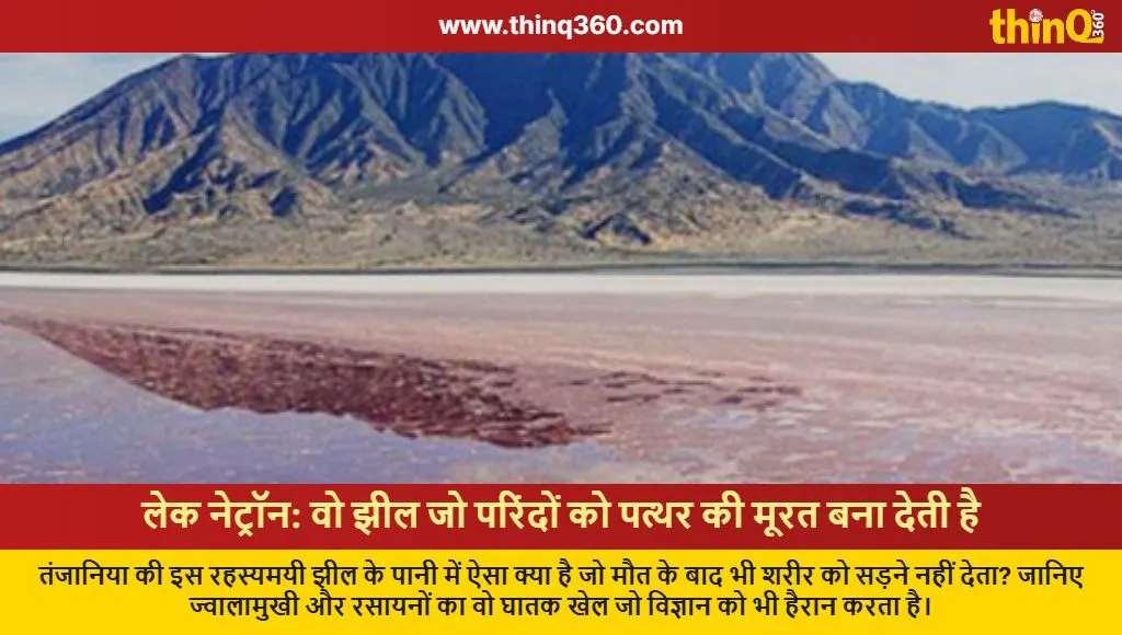 lake natron mystery tanzania deadly water animals stone