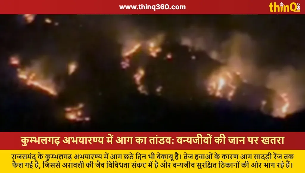 kumbhalgarh wildlife sanctuary forest fire updates rajasthan