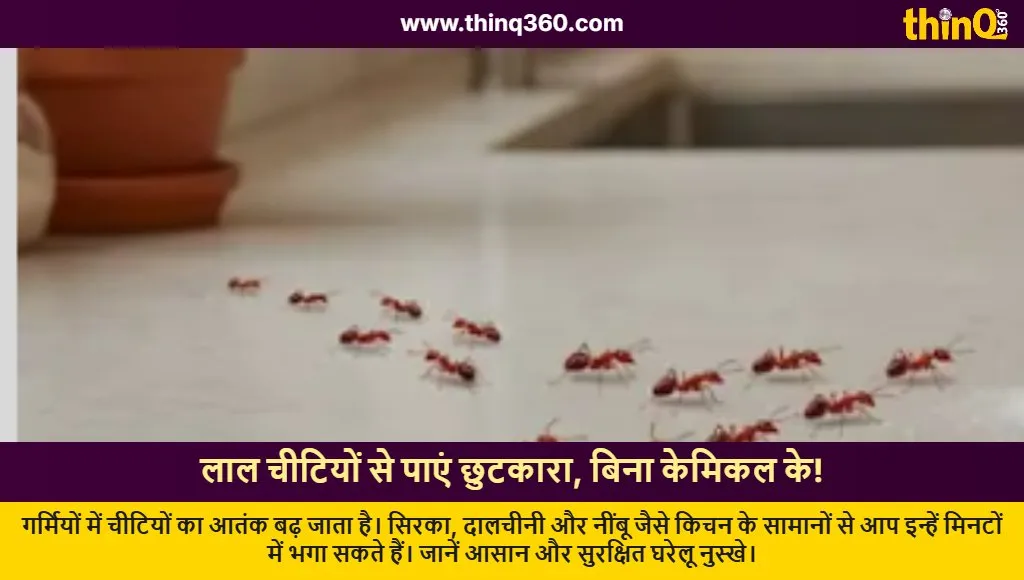how to get rid of red ants home remedies