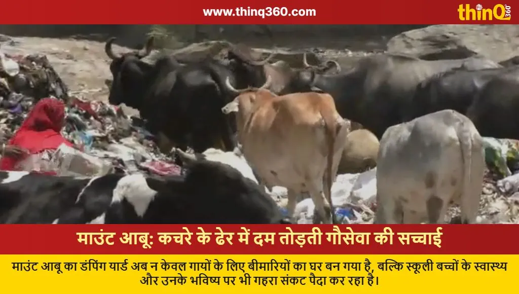 mount abu dumping yard cow health crisis