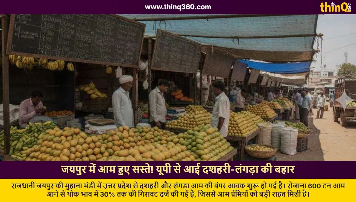 up mangoes arrive in jaipur prices drop by 30 percent