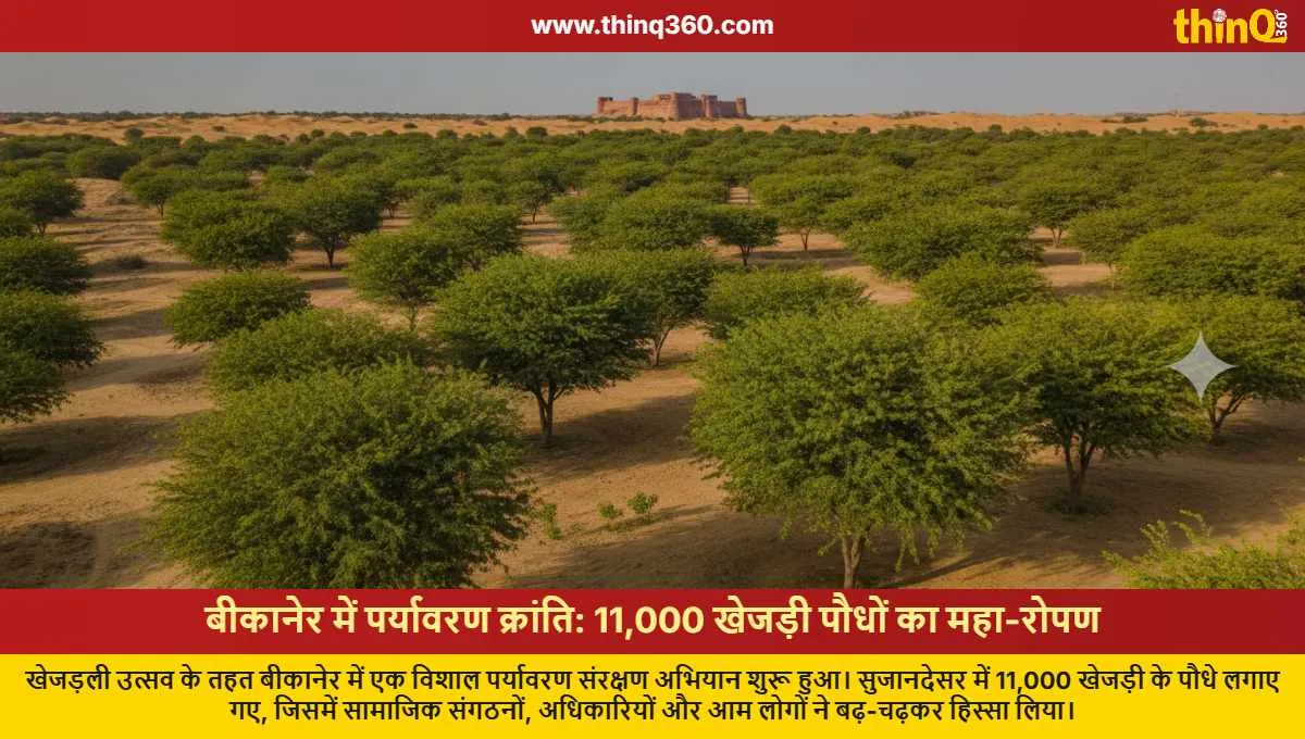 bikaner plants 11000 khejri saplings in mega environmental drive