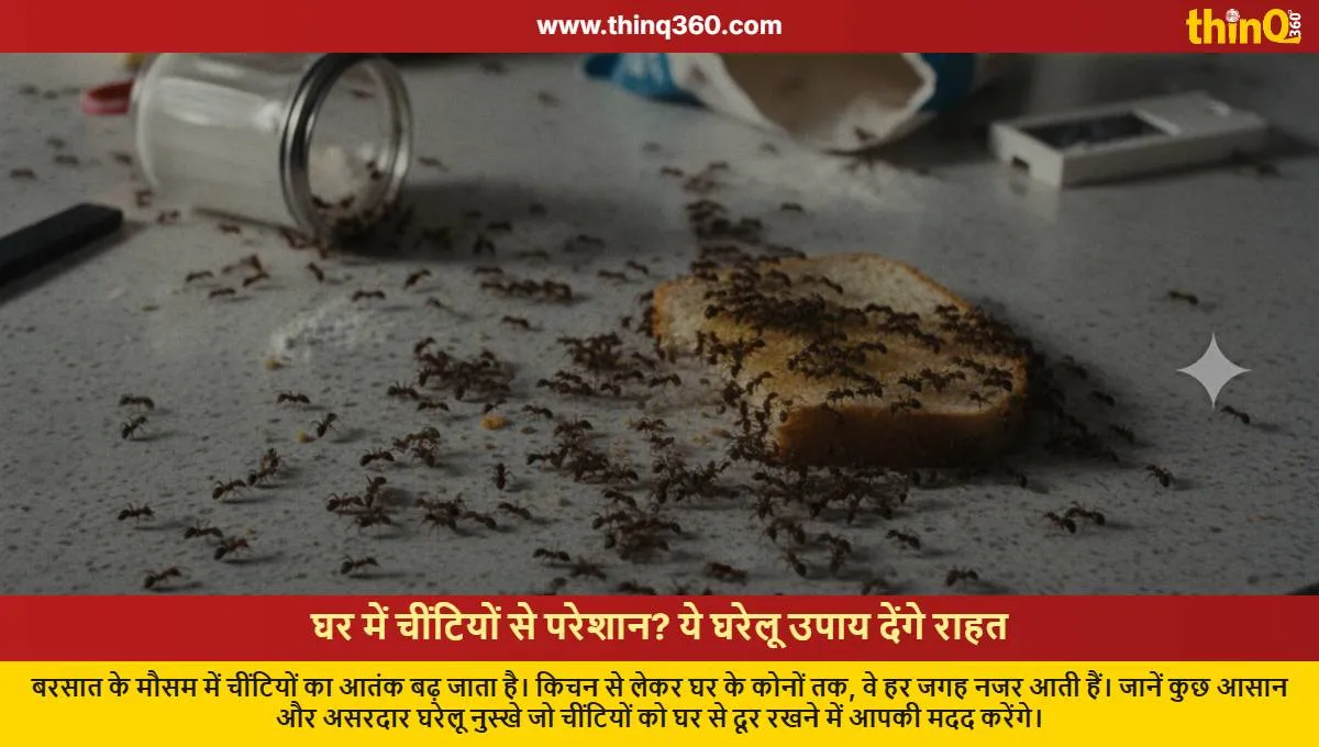 how to get rid of ants at home during rainy season