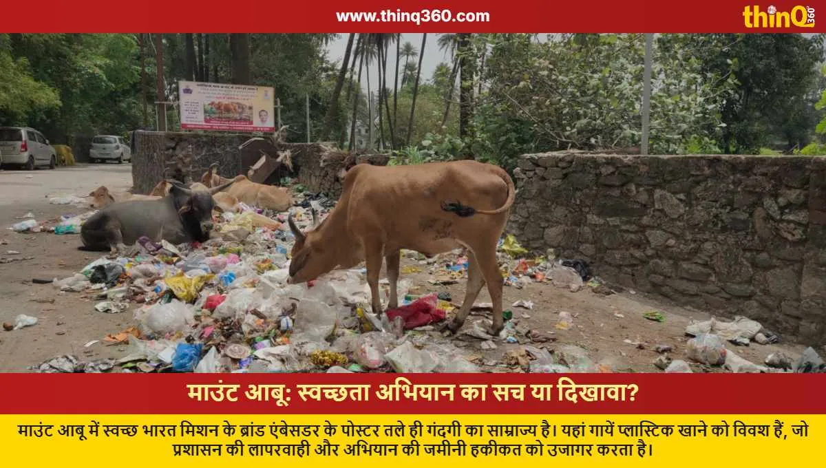 garbage pile under swachh bharat mission poster mount abu cows eating plastic