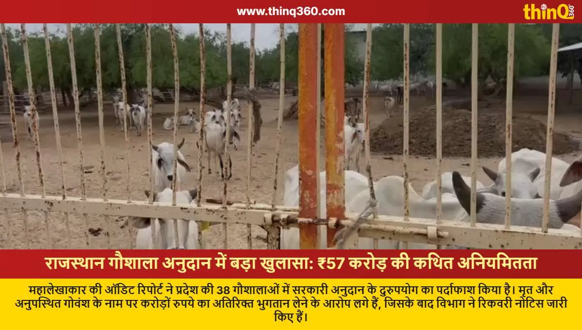 rajasthan gaushala grant irregularity audit report jalore