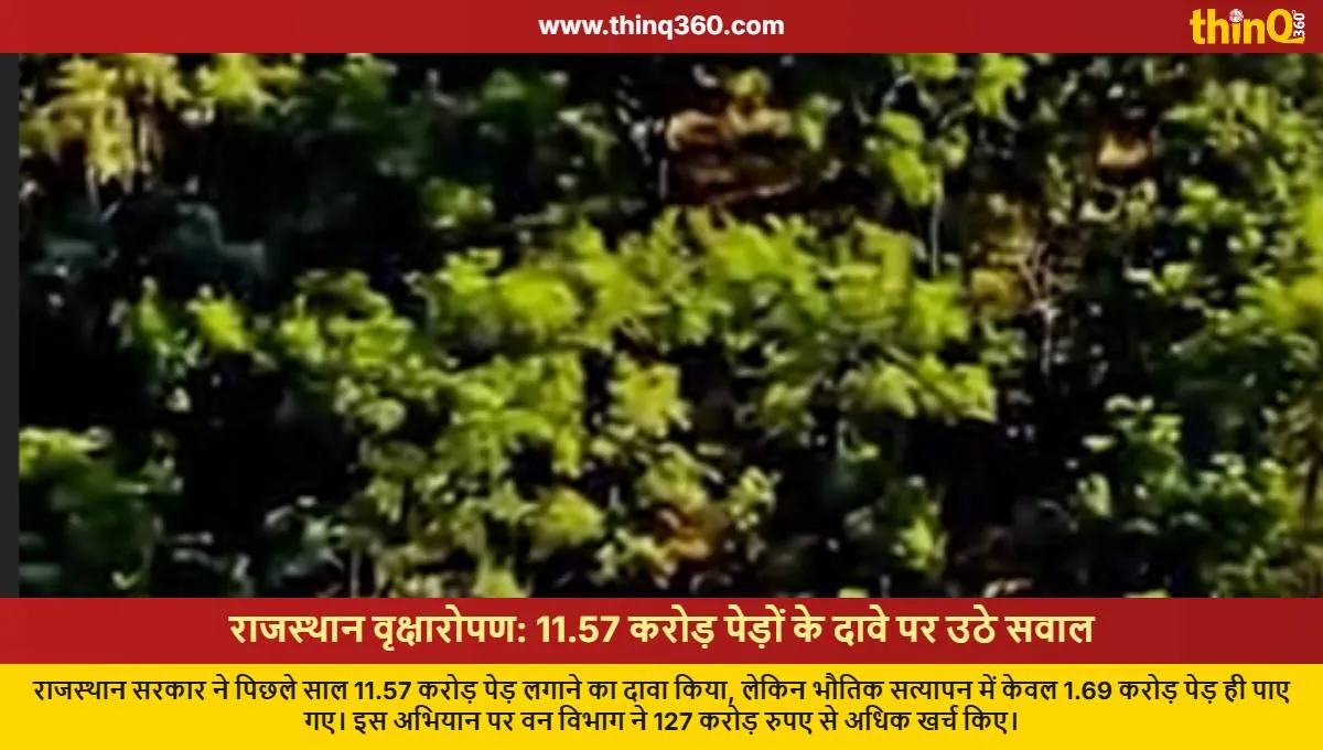 rajasthan tree plantation drive discrepancy in numbers report