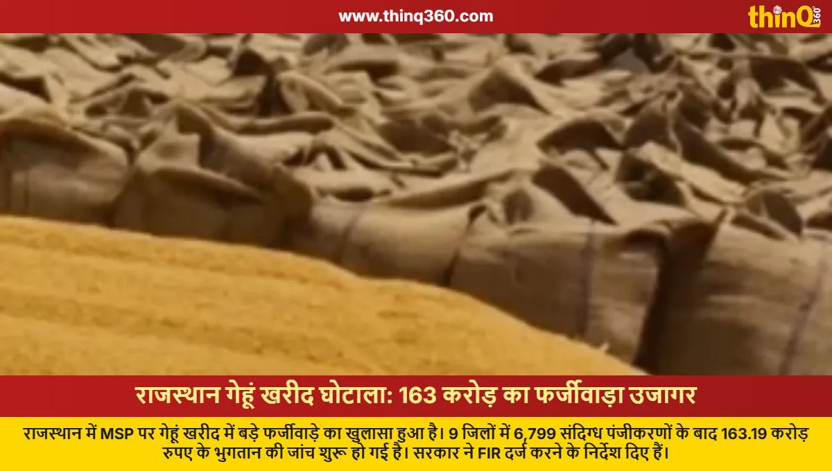 rajasthan msp wheat procurement scam 163 crore investigation