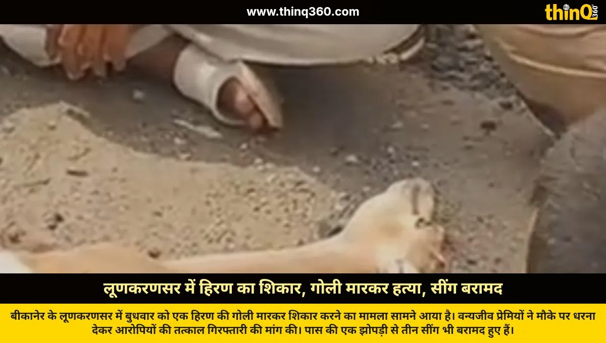 lunkaransar deer hunted shot dead antlers recovered bikaner