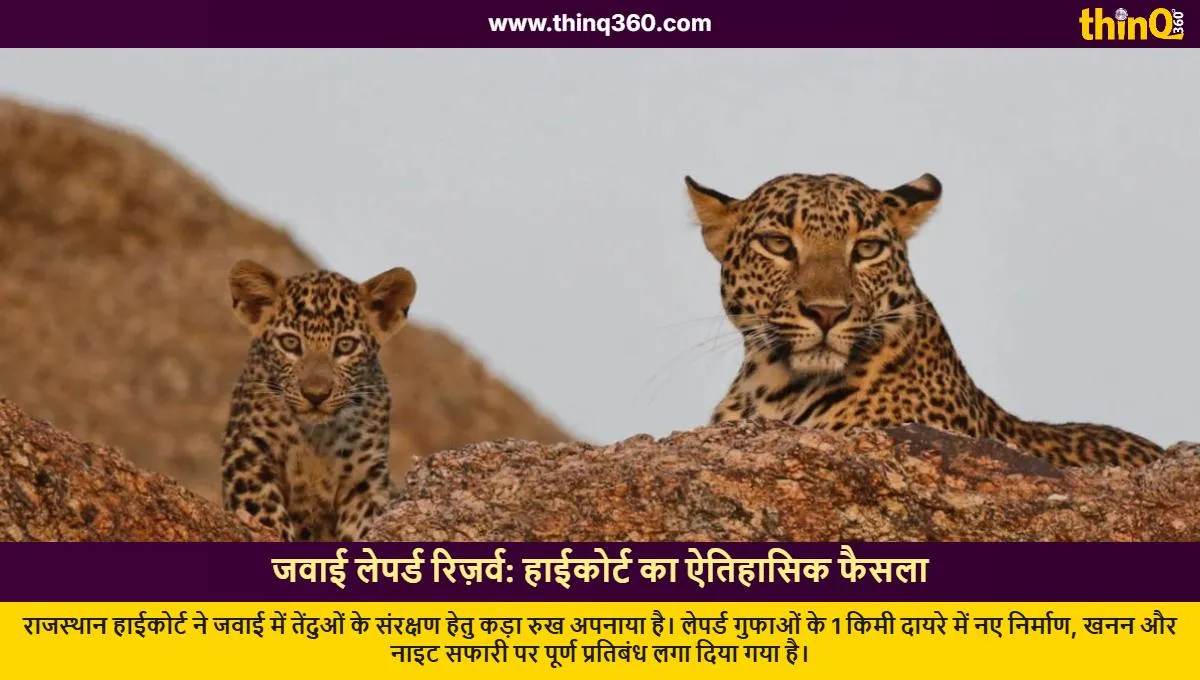 rajasthan high court bans construction night safari jawai leopard reserve