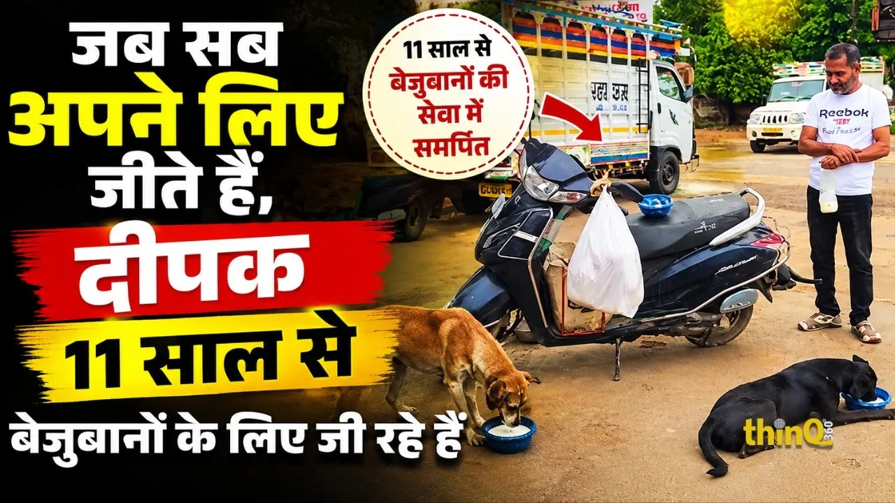 sirohi man deepak tolani feeds stray dogs for 11 years